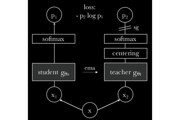 🦖 DINO: Self-supervised ViTs learn strong features and semantic structure cover