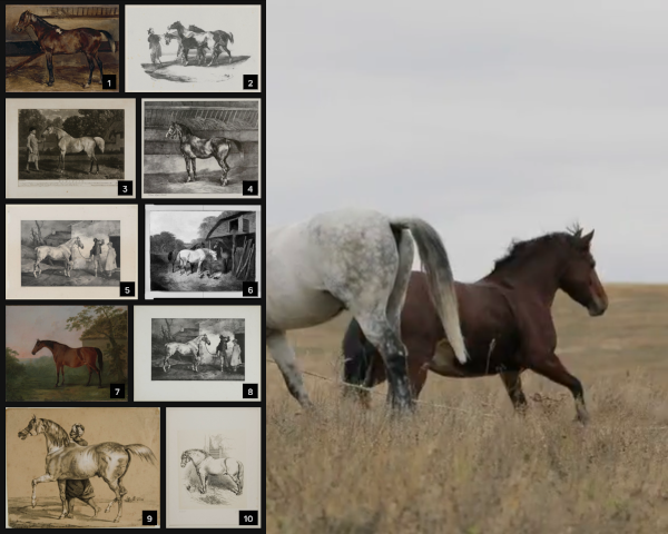 Query photograph of two horses beside ten ranked retrieved horse artworks