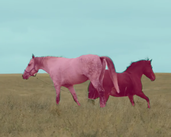 Semantic-segmentation overlay following two horses in a grassy field