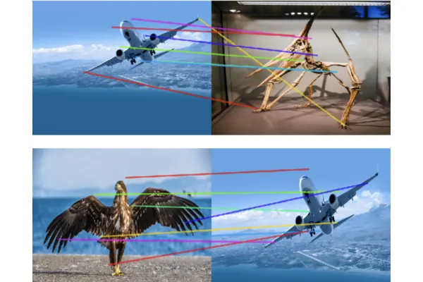 DINOv2: How self-supervised visual features transfer across tasks cover